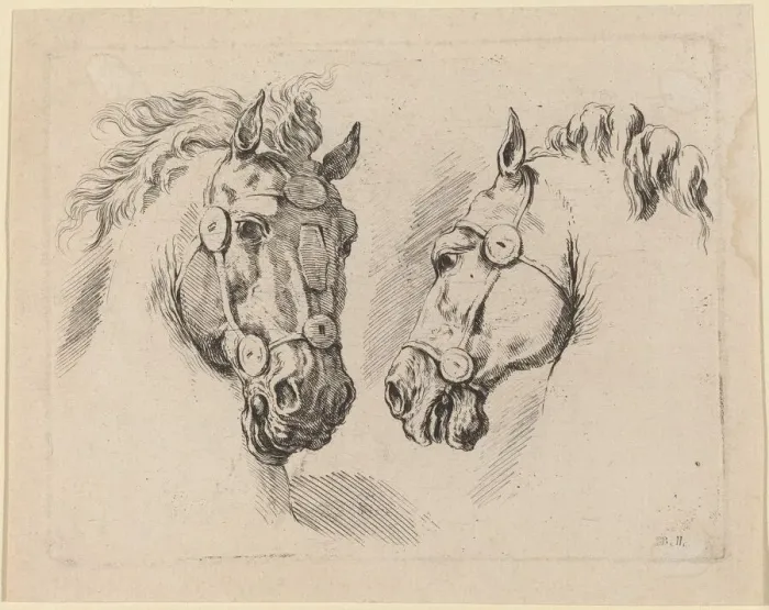 Framed Print : Two Horse Heads, probably 1649. Creator: Stefano della Bella Framed Print : Two Horse Heads, probably 1649. Creator: Stefano della Bella