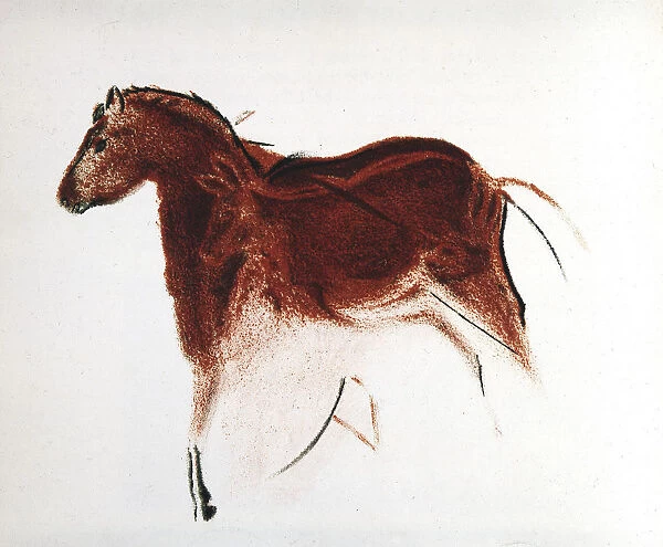 Horse and Hind, Palaeolithic cave painting from Altamira, southern Spain, c16, 000-c9000 BC