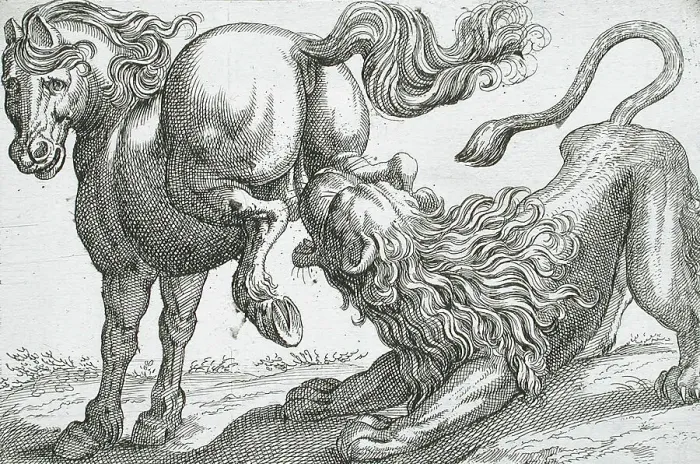 Framed Print : A Horse Kicking a Lion, 1610. Creator: Hendrick Hondius I Framed Print : A Horse Kicking a Lion, 1610. Creator: Hendrick Hondius I