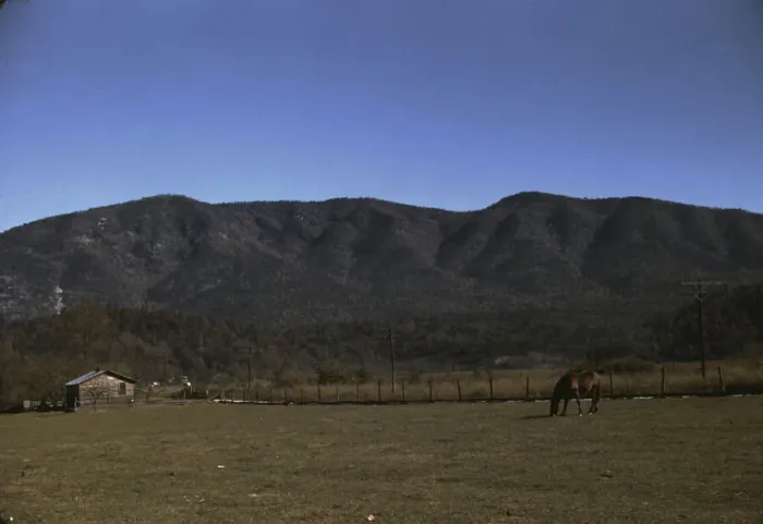 Framed Print : Horse in the pasture of a mountain farm along the Skyline Drive in Virginia, ca. 1940. Creator: Jack Delano Framed Print : Horse in the pasture of a mountain farm along the Skyline Drive in Virginia, ca. 1940. Creator: Jack Delano