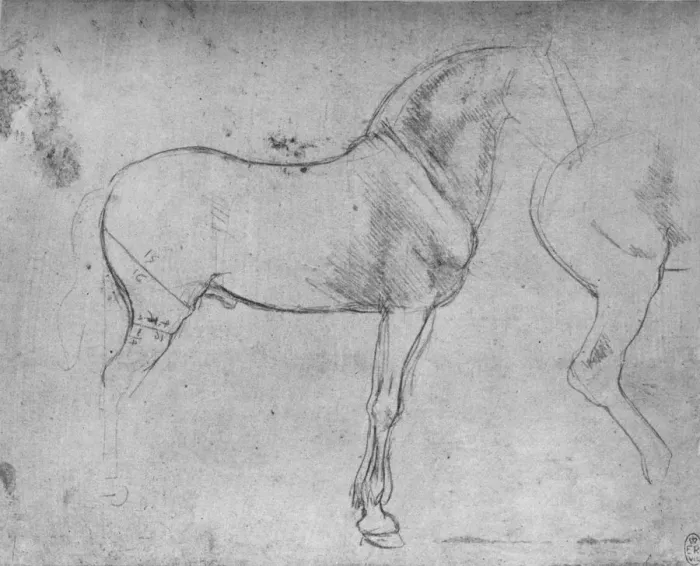 Framed Print : A Horse in Profile to the Right and its Hind-Quarters, c1480 (1945). Artist: Leonardo da Vinci Framed Print : A Horse in Profile to the Right and its Hind-Quarters, c1480 (1945). Artist: Leonardo da Vinci