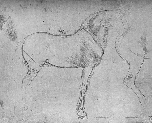 A Horse in Profile to the Right and its Hind-Quarters, c1480 (1945). Artist: Leonardo da Vinci