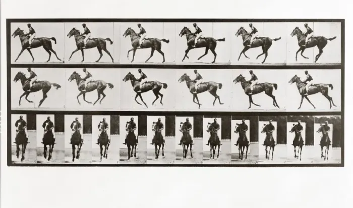 Framed Print : Horse and Rider, Plate 621 from Animal Locomotion, 1887 (photograph) Framed Print : Horse and Rider, Plate 621 from Animal Locomotion, 1887 (photograph)