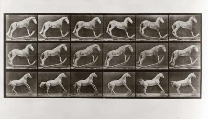 Framed Print : Horse on Rockers and Horse Rolling a Barrel, Plate 649 from Animal Locomotion, 1887 Framed Print : Horse on Rockers and Horse Rolling a Barrel, Plate 649 from Animal Locomotion, 1887