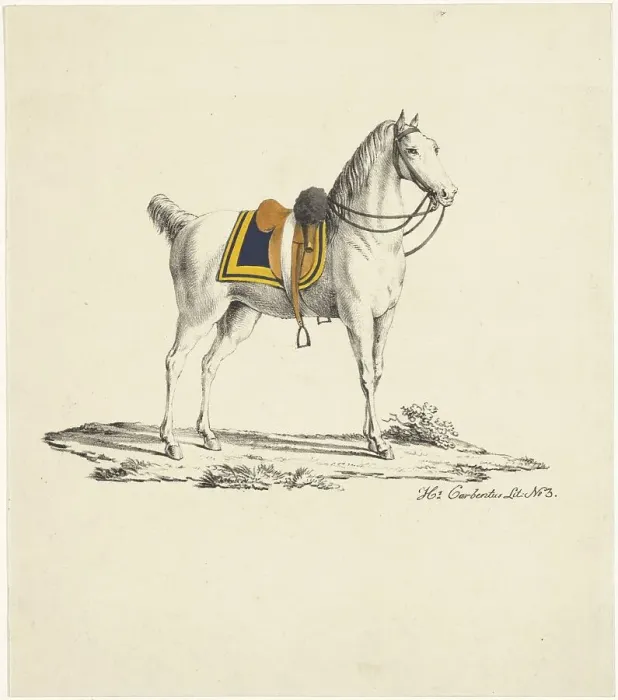 Framed Print : Horse with saddle and bridle, 1809-1854. Creator: Hermanus Carbentus Framed Print : Horse with saddle and bridle, 1809-1854. Creator: Hermanus Carbentus