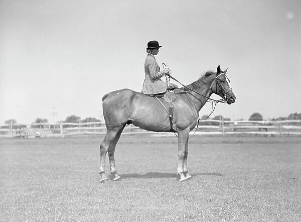 Horse show, East Hampton, Long Island. between 1933 and 1942. Creator: Arnold Genthe