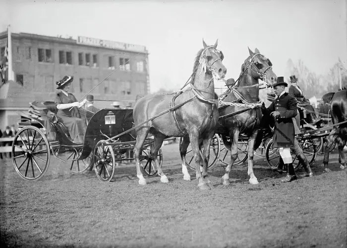 Framed Print : Horse Shows, 1911. Creator: Harris & Ewing. Horse Shows, 1911. Creator: Harris & Ewing Framed Print : Horse Shows, 1911. Creator: Harris & Ewing. Horse Shows, 1911. Creator: Harris & Ewing