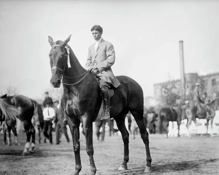 Framed Print : Horse Shows, 1912. Creator: Harris & Ewing. Horse Shows, 1912. Creator: Harris & Ewing Framed Print : Horse Shows, 1912. Creator: Harris & Ewing. Horse Shows, 1912. Creator: Harris & Ewing
