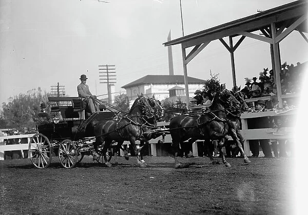 Horse Shows - 4-Horse Teams, 1912. Creator: Harris & Ewing. Horse Shows - 4-Horse Teams, 1912. Creator: Harris & Ewing