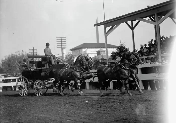 Framed Print : Horse Shows - 4-Horse Teams, 1912. Creator: Harris & Ewing. Horse Shows - 4-Horse Teams, 1912. Creator: Harris & Ewing Framed Print : Horse Shows - 4-Horse Teams, 1912. Creator: Harris & Ewing. Horse Shows - 4-Horse Teams, 1912. Creator: Harris & Ewing