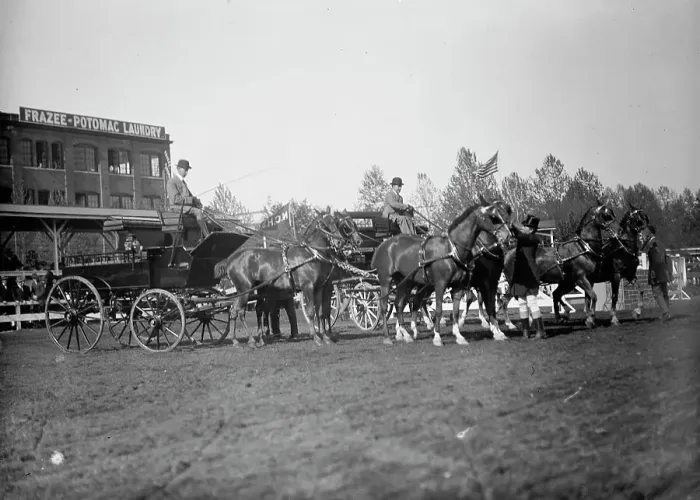Framed Print : Horse Shows - 4-Horse Teams, 1912. Creator: Harris & Ewing. Horse Shows - 4-Horse Teams, 1912. Creator: Harris & Ewing Framed Print : Horse Shows - 4-Horse Teams, 1912. Creator: Harris & Ewing. Horse Shows - 4-Horse Teams, 1912. Creator: Harris & Ewing