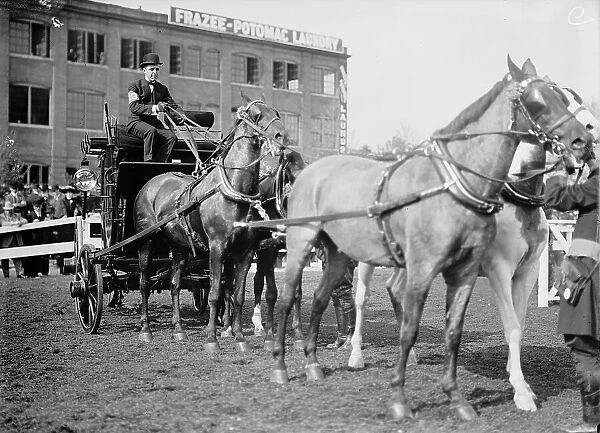 Horse Shows - Adolphus Busch, 3rd of St. Louis, 1911. Creator: Harris & Ewing. Horse Shows - Adolphus Busch, 3rd of St. Louis, 1911. Creator: Harris & Ewing