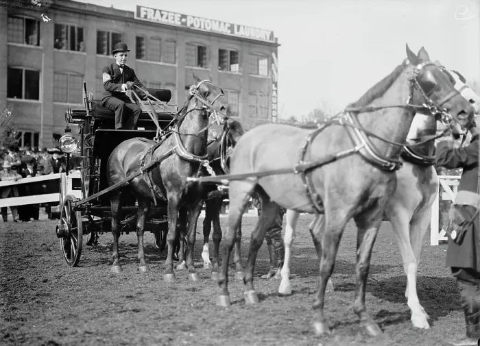 Framed Print : Horse Shows - Adolphus Busch, 3rd of St. Louis, 1911. Creator: Harris & Ewing. Horse Shows - Adolphus Busch, 3rd of St. Louis, 1911. Creator: Harris & Ewing Framed Print : Horse Shows - Adolphus Busch, 3rd of St. Louis, 1911. Creator: Harris & Ewing. Horse Shows - Adolphus Busch, 3rd of St. Louis, 1911. Creator: Harris & Ewing