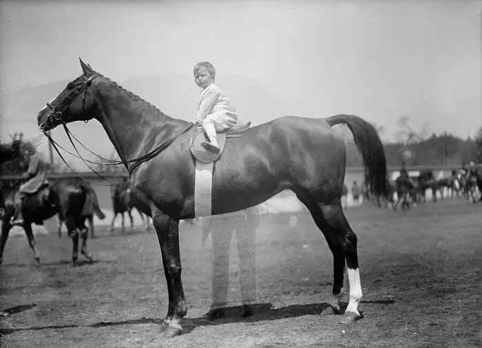 Framed Print : Horse Shows - Baby Vincent Mclean On Indian Flower, 1912. Creator: Harris & Ewing. Horse Shows - Baby Vincent Mclean On Indian Flower, 1912. Creator: Harris & Ewing Framed Print : Horse Shows - Baby Vincent Mclean On Indian Flower, 1912. Creator: Harris & Ewing. Horse Shows - Baby Vincent Mclean On Indian Flower, 1912. Creator: Harris & Ewing