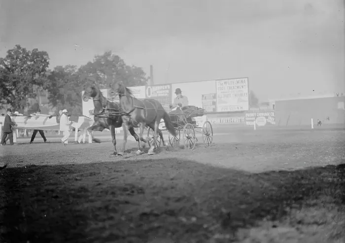 Framed Print : Horse Shows - E.T. Stotesbury Driving, 1910. Creator: Harris & Ewing. Horse Shows - E.T. Stotesbury Driving, 1910. Creator: Harris & Ewing Framed Print : Horse Shows - E.T. Stotesbury Driving, 1910. Creator: Harris & Ewing. Horse Shows - E.T. Stotesbury Driving, 1910. Creator: Harris & Ewing