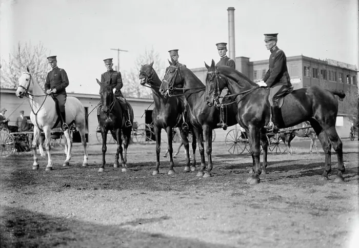 Framed Print : Horse Shows, Fort Myer Army officers Who Took Part In London And Stockholm Horse Show, 1912. Creator: Harris & Ewing. Horse Shows, Fort Myer Army officers Who Took Part In London And Stockholm Horse Show, 1912. Creator: Harris & Ewing Framed Print : Horse Shows, Fort Myer Army officers Who Took Part In London And Stockholm Horse Show, 1912. Creator: Harris & Ewing. Horse Shows, Fort Myer Army officers Who Took Part In London And Stockholm Horse Show, 1912. Creator: Harris & Ewing