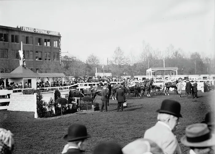 Framed Print : Horse Shows - General Views, 1911. Creator: Harris & Ewing. Horse Shows - General Views, 1911. Creator: Harris & Ewing Framed Print : Horse Shows - General Views, 1911. Creator: Harris & Ewing. Horse Shows - General Views, 1911. Creator: Harris & Ewing