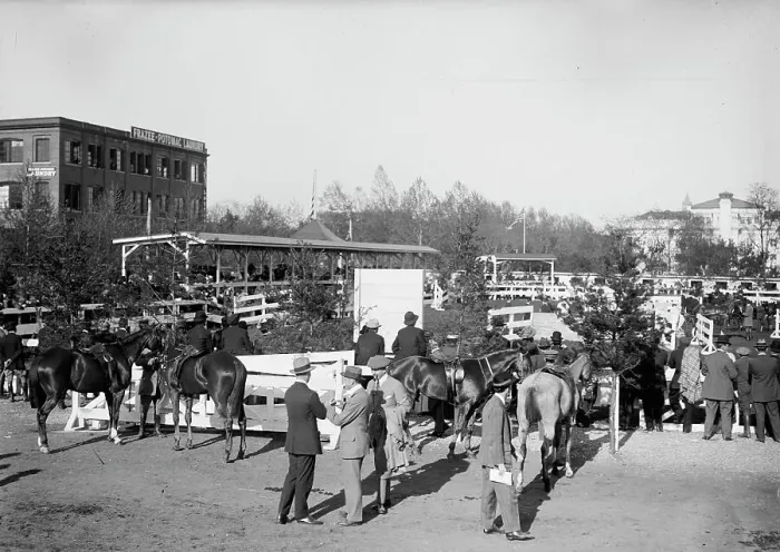 Framed Print : Horse Shows - General Views, 1912. Creator: Harris & Ewing. Horse Shows - General Views, 1912. Creator: Harris & Ewing Framed Print : Horse Shows - General Views, 1912. Creator: Harris & Ewing. Horse Shows - General Views, 1912. Creator: Harris & Ewing