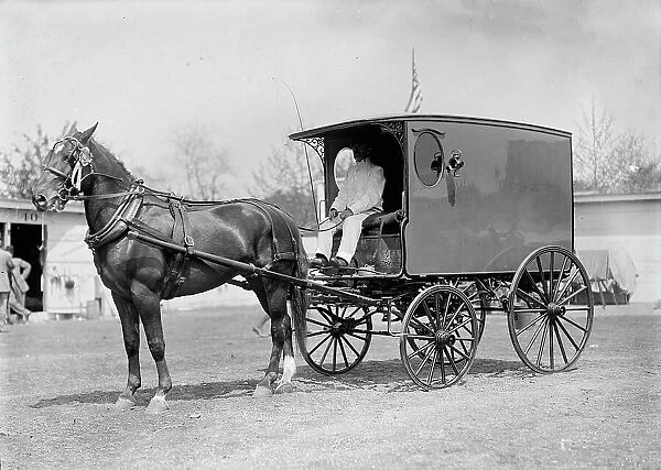Horse Shows - Horse And Wagon, 1911. Creator: Harris & Ewing. Horse Shows - Horse And Wagon, 1911. Creator: Harris & Ewing