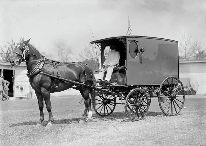 Framed Print : Horse Shows - Horse And Wagon, 1911. Creator: Harris & Ewing. Horse Shows - Horse And Wagon, 1911. Creator: Harris & Ewing Framed Print : Horse Shows - Horse And Wagon, 1911. Creator: Harris & Ewing. Horse Shows - Horse And Wagon, 1911. Creator: Harris & Ewing