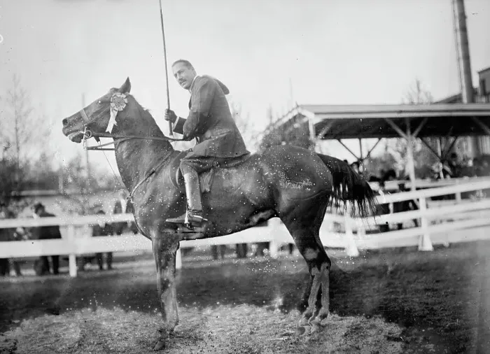Framed Print : Horse Shows - Hugh Legare On Red Bird, 1912. Creator: Harris & Ewing. Horse Shows - Hugh Legare On Red Bird, 1912. Creator: Harris & Ewing Framed Print : Horse Shows - Hugh Legare On Red Bird, 1912. Creator: Harris & Ewing. Horse Shows - Hugh Legare On Red Bird, 1912. Creator: Harris & Ewing
