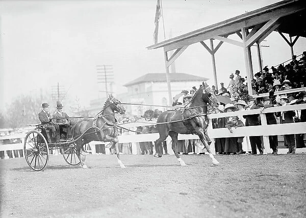 Horse Shows - John Roll Mclean Entries, 1911. Creator: Harris & Ewing. Horse Shows - John Roll Mclean Entries, 1911. Creator: Harris & Ewing