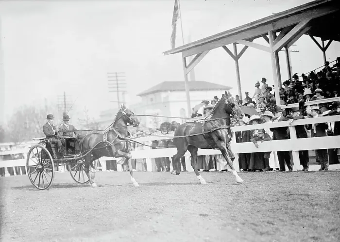 Framed Print : Horse Shows - John Roll Mclean Entries, 1911. Creator: Harris & Ewing. Horse Shows - John Roll Mclean Entries, 1911. Creator: Harris & Ewing Framed Print : Horse Shows - John Roll Mclean Entries, 1911. Creator: Harris & Ewing. Horse Shows - John Roll Mclean Entries, 1911. Creator: Harris & Ewing