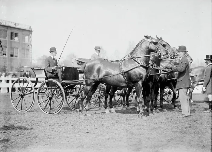 Framed Print : Horse Shows - Judging Team, 1911. Creator: Harris & Ewing. Horse Shows - Judging Team, 1911. Creator: Harris & Ewing Framed Print : Horse Shows - Judging Team, 1911. Creator: Harris & Ewing. Horse Shows - Judging Team, 1911. Creator: Harris & Ewing