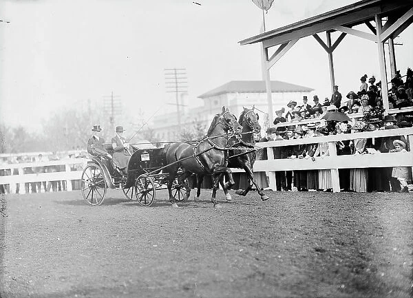 Horse Shows - Mclean Entries, 1911. Creator: Harris & Ewing. Horse Shows - Mclean Entries, 1911. Creator: Harris & Ewing