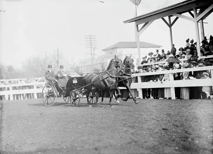 Framed Print : Horse Shows - Mclean Entries, 1911. Creator: Harris & Ewing. Horse Shows - Mclean Entries, 1911. Creator: Harris & Ewing Framed Print : Horse Shows - Mclean Entries, 1911. Creator: Harris & Ewing. Horse Shows - Mclean Entries, 1911. Creator: Harris & Ewing