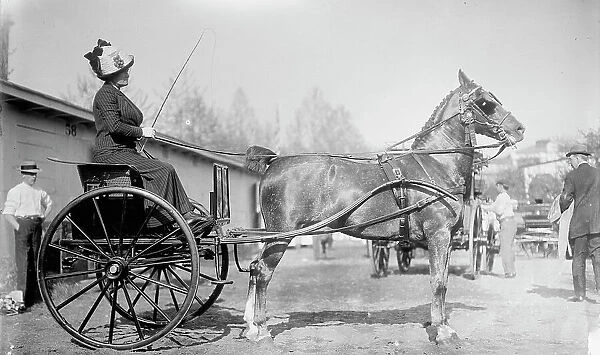 Horse Shows - Mrs. C.W. Watson Driving, 1911. Creator: Harris & Ewing. Horse Shows - Mrs. C.W. Watson Driving, 1911. Creator: Harris & Ewing