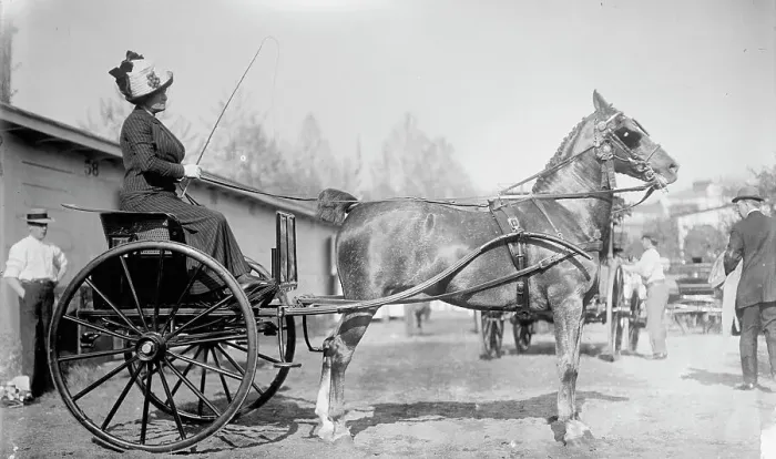 Framed Print : Horse Shows - Mrs. C.W. Watson Driving, 1911. Creator: Harris & Ewing. Horse Shows - Mrs. C.W. Watson Driving, 1911. Creator: Harris & Ewing Framed Print : Horse Shows - Mrs. C.W. Watson Driving, 1911. Creator: Harris & Ewing. Horse Shows - Mrs. C.W. Watson Driving, 1911. Creator: Harris & Ewing