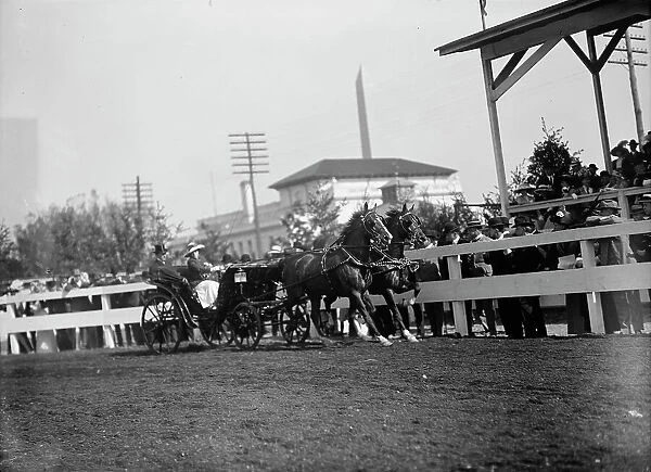 Horse Shows - Team, 1912. Creator: Harris & Ewing. Horse Shows - Team, 1912. Creator: Harris & Ewing