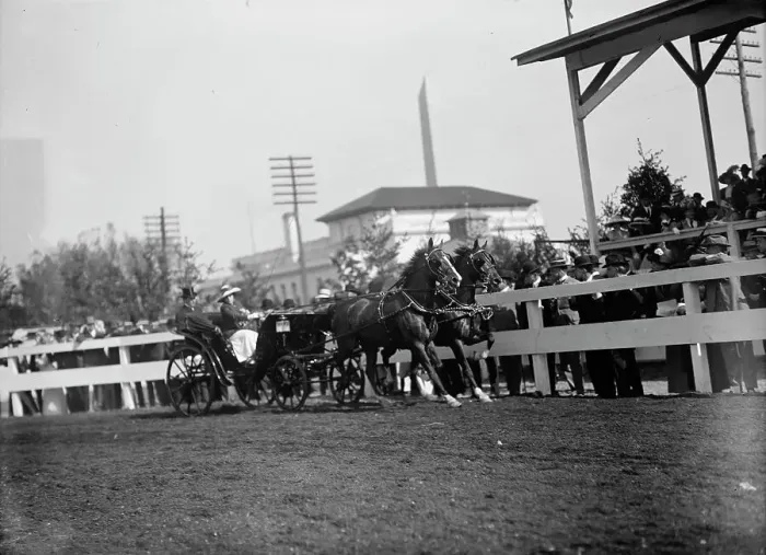 Framed Print : Horse Shows - Team, 1912. Creator: Harris & Ewing. Horse Shows - Team, 1912. Creator: Harris & Ewing Framed Print : Horse Shows - Team, 1912. Creator: Harris & Ewing. Horse Shows - Team, 1912. Creator: Harris & Ewing