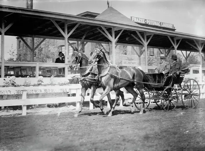 Framed Print : Horse Shows - Team Driven By General Nelson A. Miles, Left, with P. V. Degraw, 1912. Creator: Harris & Ewing. Horse Shows - Team Driven By General Nelson A. Miles, Left, with P. V. Degraw, 1912. Creator: Harris & Ewing Framed Print : Horse Shows - Team Driven By General Nelson A. Miles, Left, with P. V. Degraw, 1912. Creator: Harris & Ewing. Horse Shows - Team Driven By General Nelson A. Miles, Left, with P. V. Degraw, 1912. Creator: Harris & Ewing