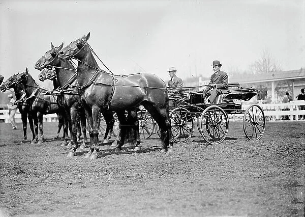 Horse Shows - Teams, 1911. Creator: Harris & Ewing. Horse Shows - Teams, 1911. Creator: Harris & Ewing