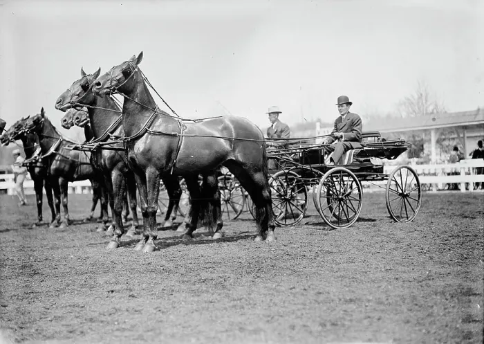 Framed Print : Horse Shows - Teams, 1911. Creator: Harris & Ewing. Horse Shows - Teams, 1911. Creator: Harris & Ewing Framed Print : Horse Shows - Teams, 1911. Creator: Harris & Ewing. Horse Shows - Teams, 1911. Creator: Harris & Ewing