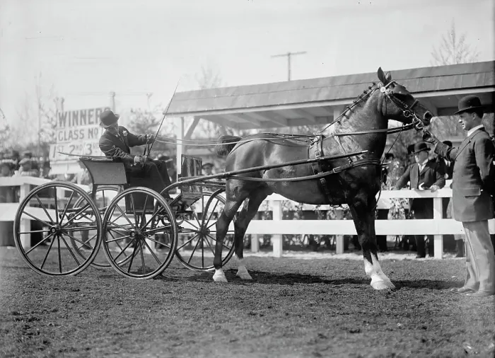 Framed Print : Horse Shows - Unidentified Men, Driving, 1911. Creator: Harris & Ewing. Horse Shows - Unidentified Men, Driving, 1911. Creator: Harris & Ewing Framed Print : Horse Shows - Unidentified Men, Driving, 1911. Creator: Harris & Ewing. Horse Shows - Unidentified Men, Driving, 1911. Creator: Harris & Ewing
