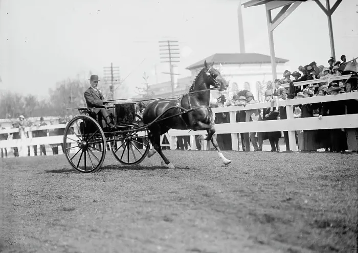 Framed Print : Horse Shows - Unidentified Men, Driving, 1911. Creator: Harris & Ewing. Horse Shows - Unidentified Men, Driving, 1911. Creator: Harris & Ewing Framed Print : Horse Shows - Unidentified Men, Driving, 1911. Creator: Harris & Ewing. Horse Shows - Unidentified Men, Driving, 1911. Creator: Harris & Ewing