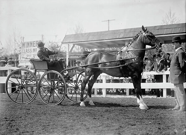 Horse Shows - Unidentified Men, Driving, 1911. Creator: Harris & Ewing. Horse Shows - Unidentified Men, Driving, 1911. Creator: Harris & Ewing