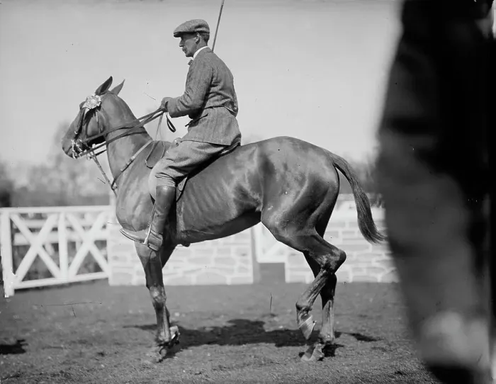 Framed Print : Horse Shows - Unidentified Men, Mtd. Or Hurdling, 1911. Creator: Harris & Ewing. Horse Shows - Unidentified Men, Mtd. Or Hurdling, 1911. Creator: Harris & Ewing Framed Print : Horse Shows - Unidentified Men, Mtd. Or Hurdling, 1911. Creator: Harris & Ewing. Horse Shows - Unidentified Men, Mtd. Or Hurdling, 1911. Creator: Harris & Ewing