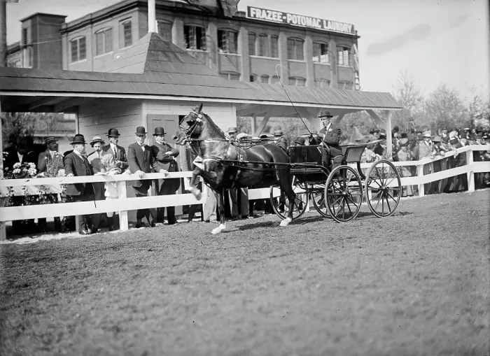Framed Print : Horse Shows...Gen. Allen And Secretary Dickinson Standing Back of Fence... 1911. Creator: Harris & Ewing. Horse Shows...Gen. Allen And Secretary Dickinson Standing Back of Fence... 1911. Creator: Harris & Ewing Framed Print : Horse Shows...Gen. Allen And Secretary Dickinson Standing Back of Fence... 1911. Creator: Harris & Ewing. Horse Shows...Gen. Allen And Secretary Dickinson Standing Back of Fence... 1911. Creator: Harris & Ewing
