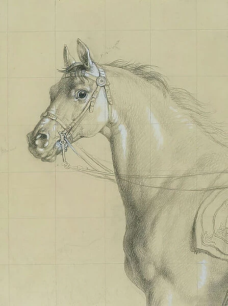 Horse study for 'Archduke Karl with his staff in the Battle of Aspern', before 1828. Creator: Johann Peter Krafft. Horse study for 'Archduke Karl with his staff in the Battle of Aspern', before 1828. Creator: Johann Peter Krafft