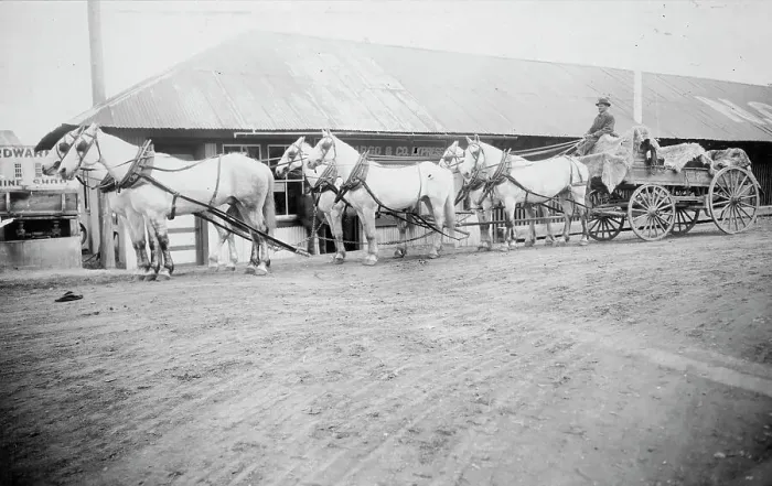 Framed Print : Horse team starting on trail to Chitina, between c1900 and 1927. Creator: Unknown Framed Print : Horse team starting on trail to Chitina, between c1900 and 1927. Creator: Unknown