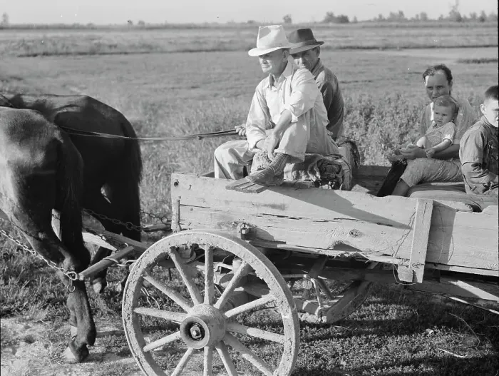Framed Print : Horse and wagon is still a common means of transportation... Southeast Missouri Farms, 1938. Creator: Dorothea Lange Framed Print : Horse and wagon is still a common means of transportation... Southeast Missouri Farms, 1938. Creator: Dorothea Lange