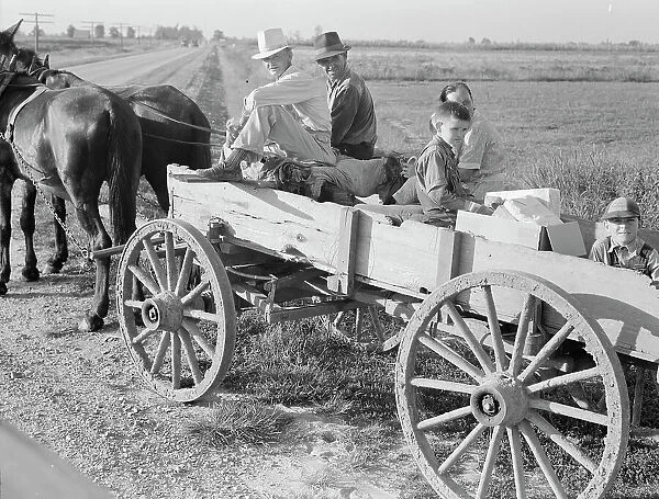Horse and wagon is still a common means of transportation... Southeast Missouri Farms, 1938. Creator: Dorothea Lange