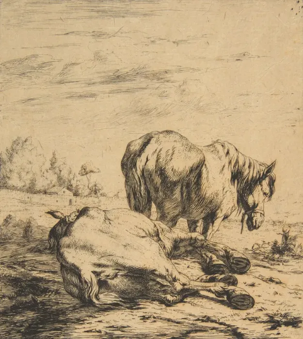Framed Print : Two Horses, 1850. Creator: Charles Meryon Framed Print : Two Horses, 1850. Creator: Charles Meryon