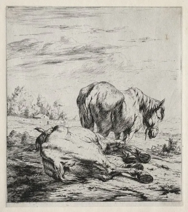 Framed Print : The Two Horses, 1850. Creator: Charles Meryon (French, 1821-1868) Framed Print : The Two Horses, 1850. Creator: Charles Meryon (French, 1821-1868)