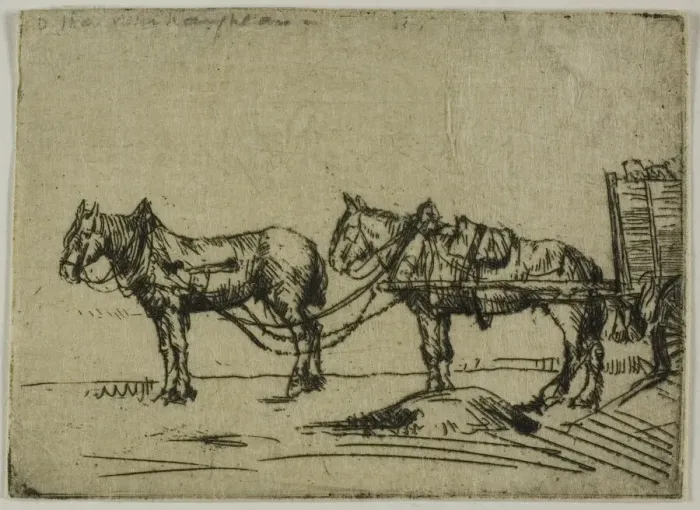 Framed Print : Two Horses, 1906. Creator: Donald Shaw MacLaughlan Framed Print : Two Horses, 1906. Creator: Donald Shaw MacLaughlan