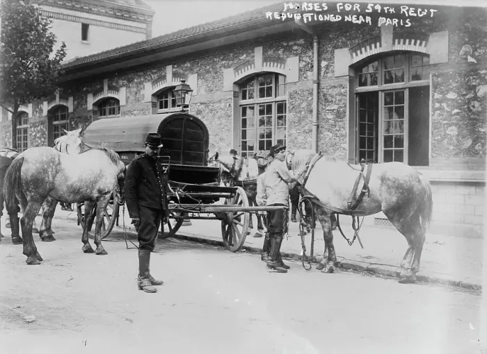Framed Print : Horses for 59th Regt. requisitioned near Paris, 14 Aug 1914. Creator: Bain News Service Framed Print : Horses for 59th Regt. requisitioned near Paris, 14 Aug 1914. Creator: Bain News Service